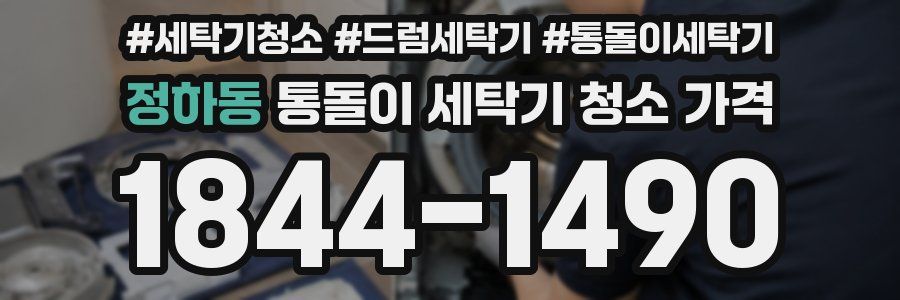정하동 통돌이 세탁기 청소 가격