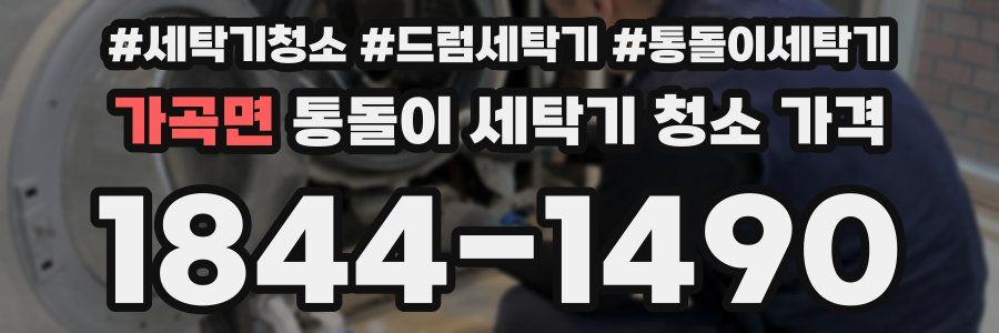 가곡면 통돌이 세탁기 청소 가격
