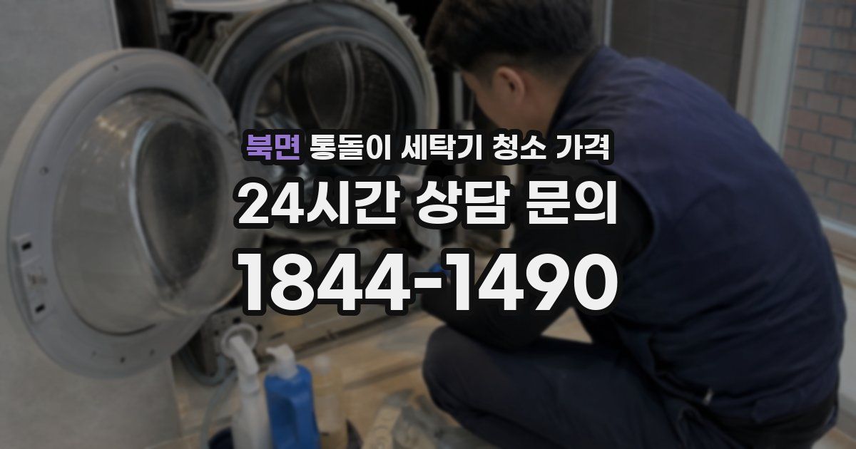 북면 통돌이 세탁기 청소 가격