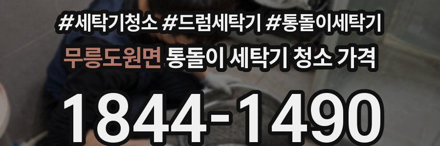 무릉도원면 통돌이 세탁기 청소 가격