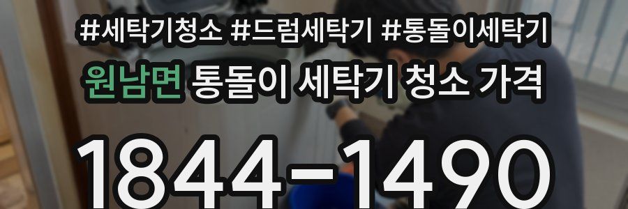 원남면 통돌이 세탁기 청소 가격