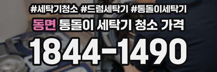 동면 통돌이 세탁기 청소 가격