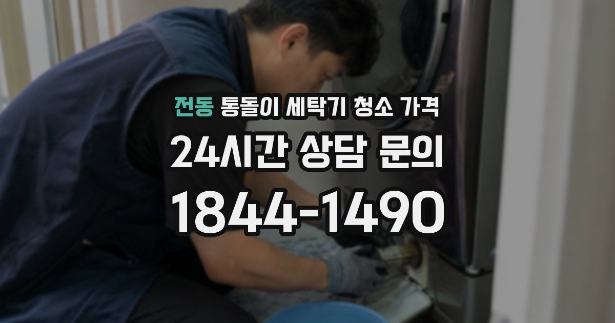 전동 통돌이 세탁기 청소 가격