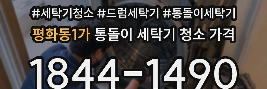 평화동1가 통돌이 세탁기 청소 가격