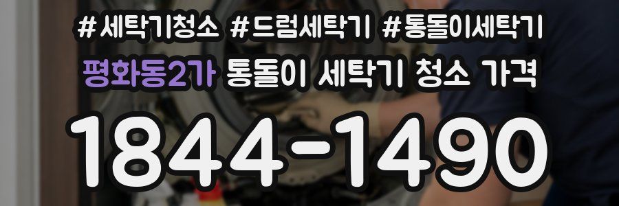 평화동2가 통돌이 세탁기 청소 가격
