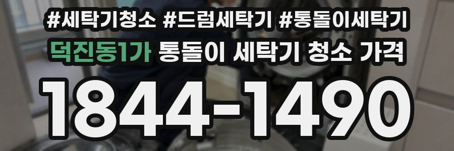 덕진동1가 통돌이 세탁기 청소 가격
