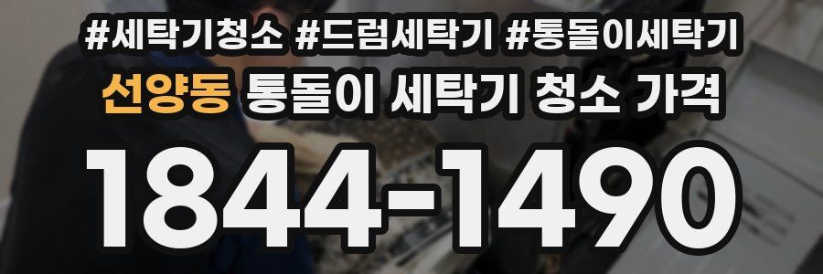 선양동 통돌이 세탁기 청소 가격