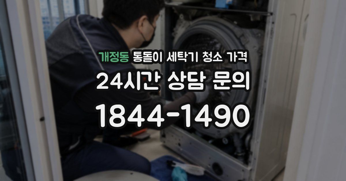 개정동 통돌이 세탁기 청소 가격