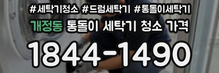 개정동 통돌이 세탁기 청소 가격
