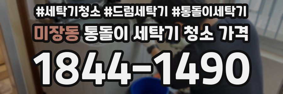 미장동 통돌이 세탁기 청소 가격