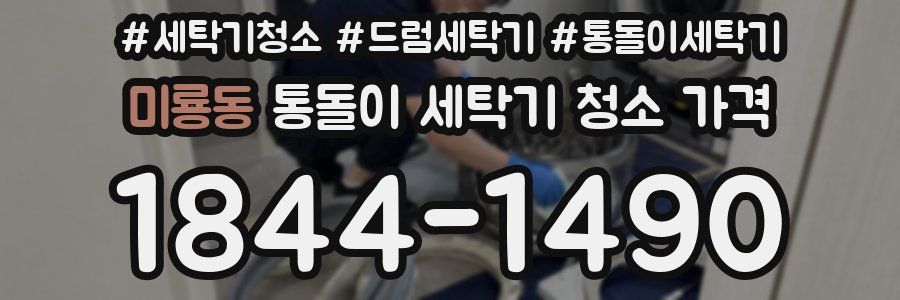 미룡동 통돌이 세탁기 청소 가격