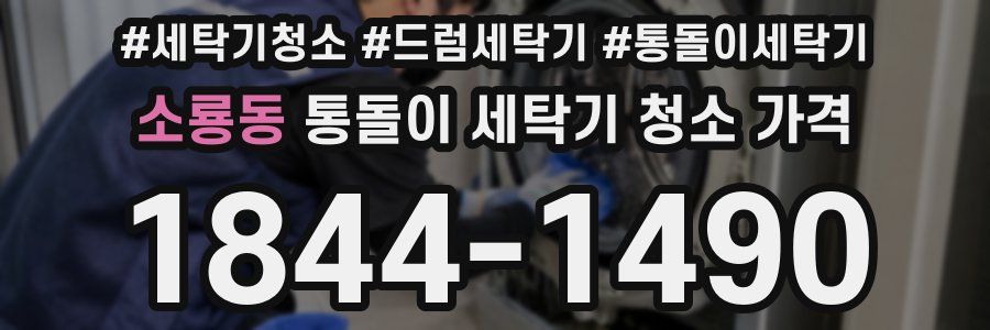 소룡동 통돌이 세탁기 청소 가격