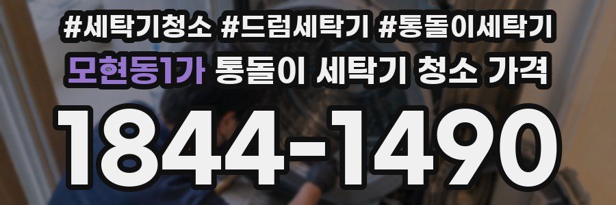 모현동1가 통돌이 세탁기 청소 가격
