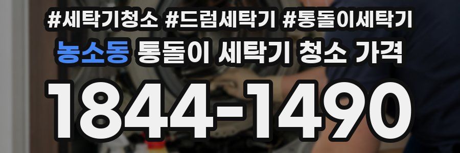 농소동 통돌이 세탁기 청소 가격