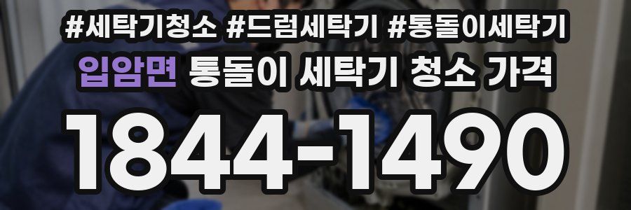 입암면 통돌이 세탁기 청소 가격
