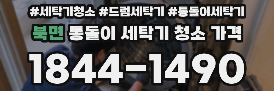 북면 통돌이 세탁기 청소 가격