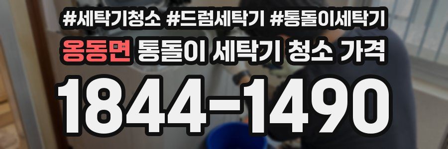 옹동면 통돌이 세탁기 청소 가격