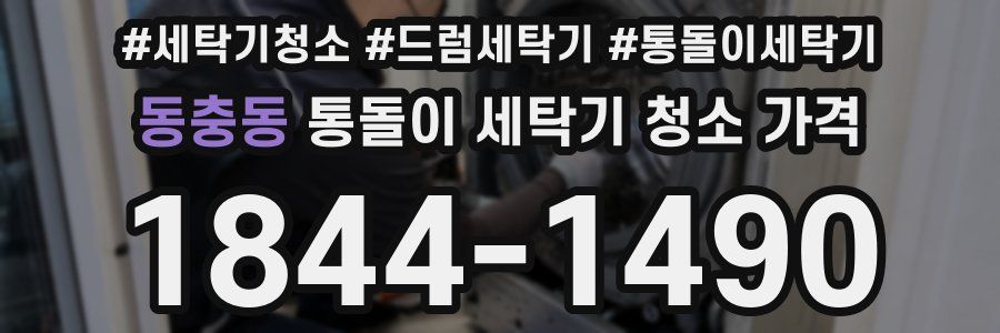 동충동 통돌이 세탁기 청소 가격