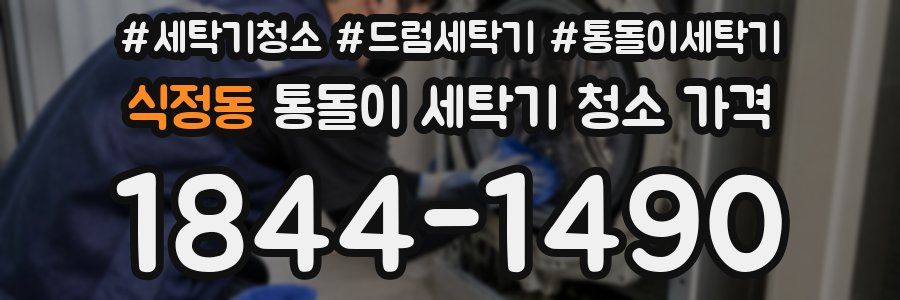 식정동 통돌이 세탁기 청소 가격
