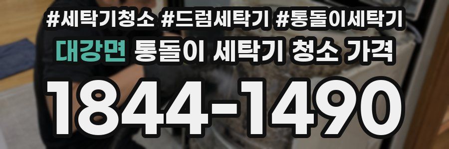 대강면 통돌이 세탁기 청소 가격