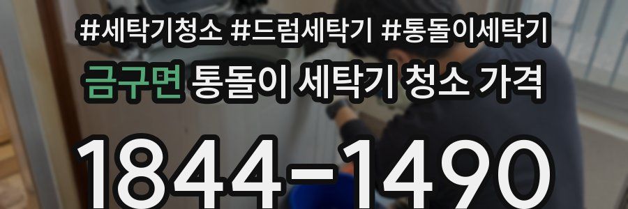 금구면 통돌이 세탁기 청소 가격