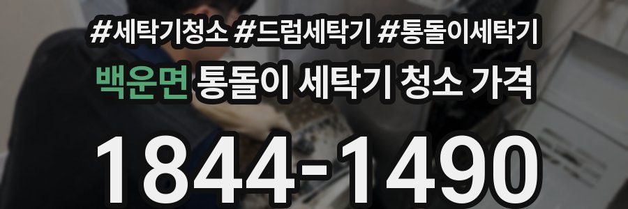 백운면 통돌이 세탁기 청소 가격