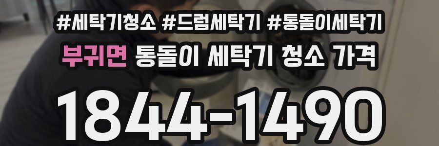 부귀면 통돌이 세탁기 청소 가격
