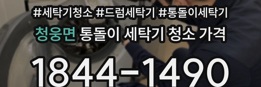 청웅면 통돌이 세탁기 청소 가격