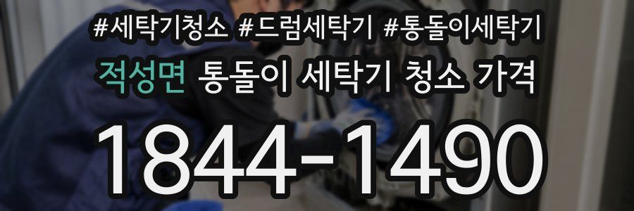 적성면 통돌이 세탁기 청소 가격