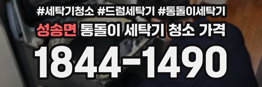 성송면 통돌이 세탁기 청소 가격