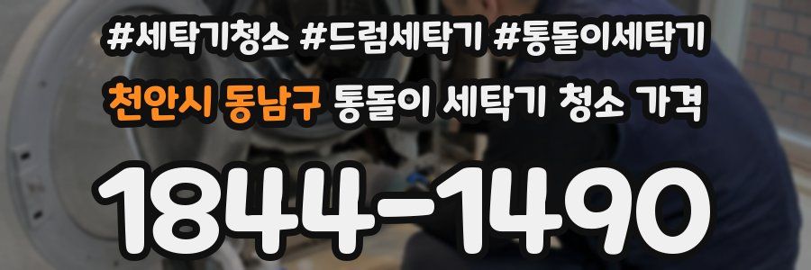 천안시 동남구 통돌이 세탁기 청소 가격