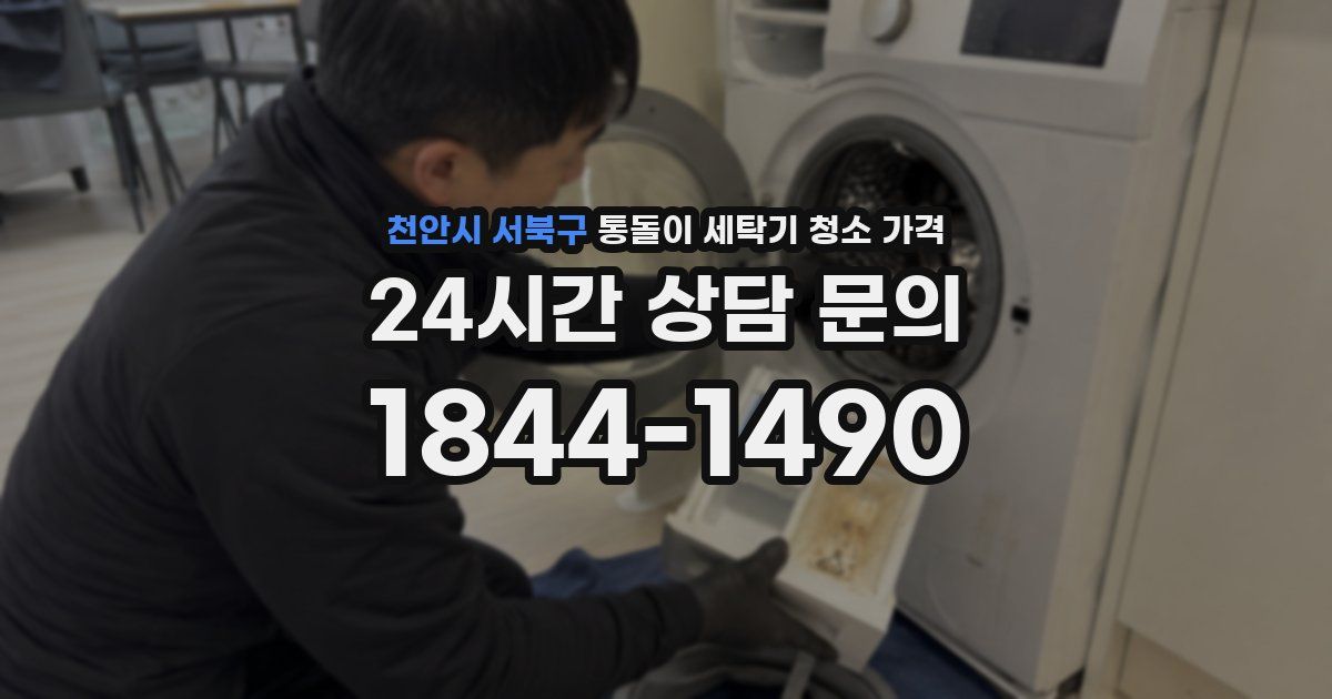 천안시 서북구 통돌이 세탁기 청소 가격