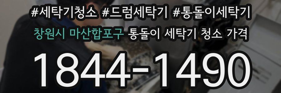 창원시 마산합포구 통돌이 세탁기 청소 가격