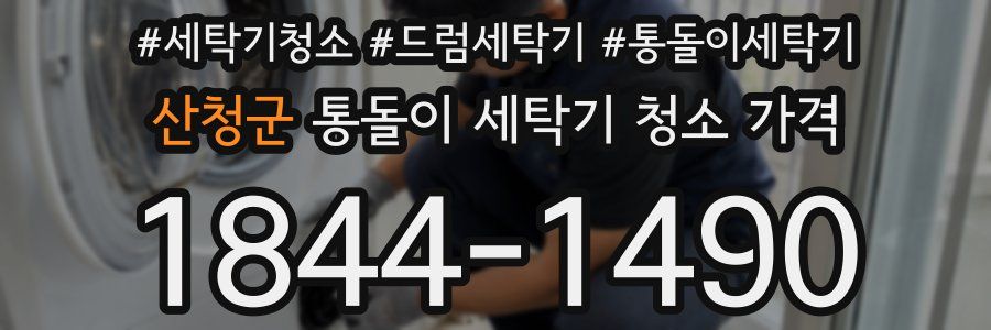 산청군 통돌이 세탁기 청소 가격