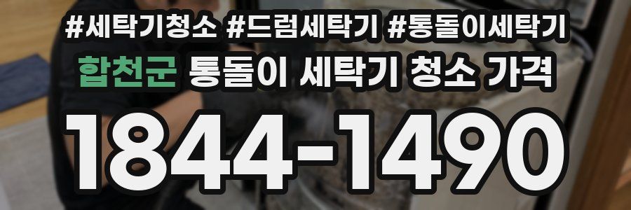 합천군 통돌이 세탁기 청소 가격