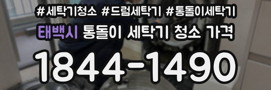 태백시 통돌이 세탁기 청소 가격