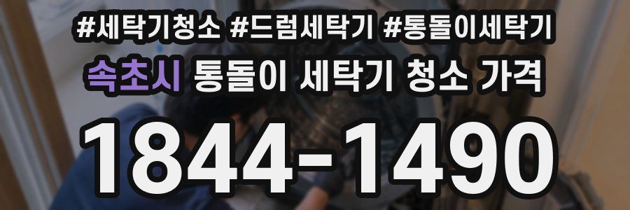 속초시 통돌이 세탁기 청소 가격