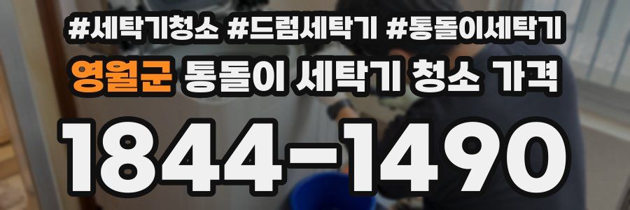 영월군 통돌이 세탁기 청소 가격