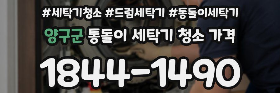 양구군 통돌이 세탁기 청소 가격