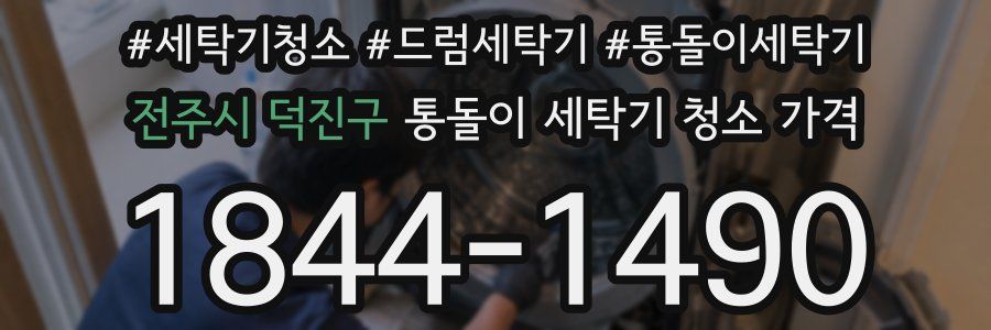 전주시 덕진구 통돌이 세탁기 청소 가격
