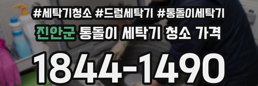 진안군 통돌이 세탁기 청소 가격
