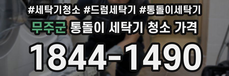 무주군 통돌이 세탁기 청소 가격