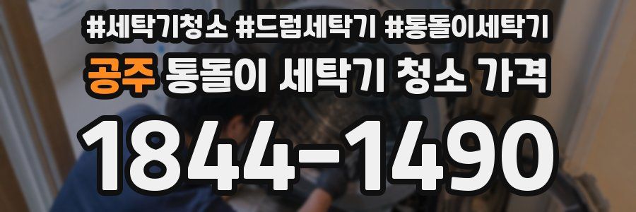 공주 통돌이 세탁기 청소 가격