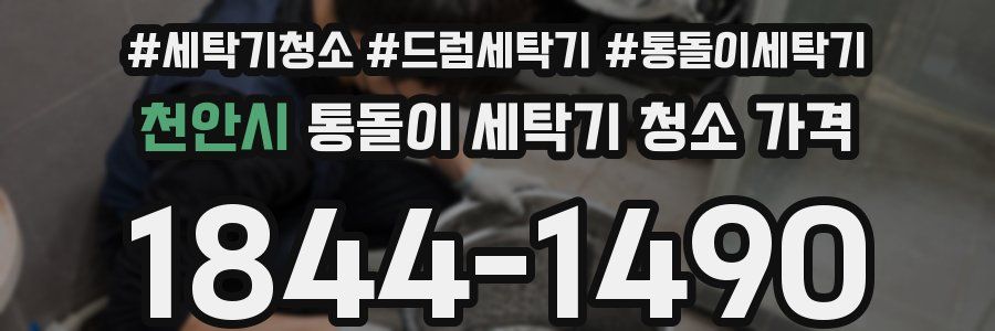 천안시 통돌이 세탁기 청소 가격