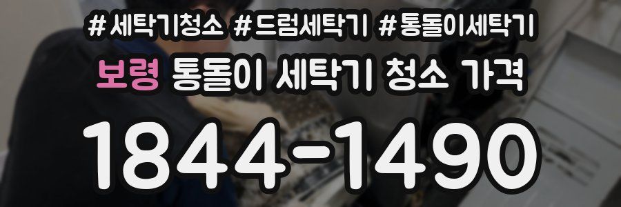 보령 통돌이 세탁기 청소 가격