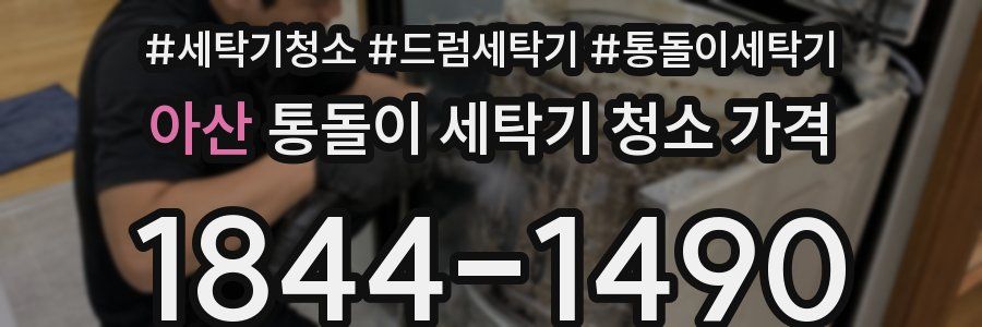 아산 통돌이 세탁기 청소 가격