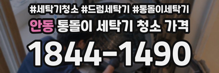 안동 통돌이 세탁기 청소 가격