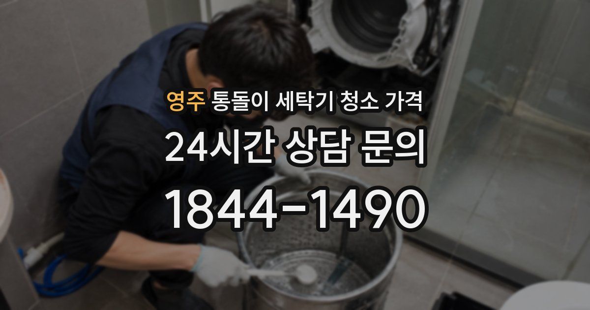 영주 통돌이 세탁기 청소 가격