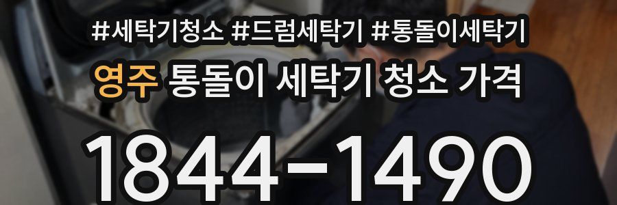 영주 통돌이 세탁기 청소 가격