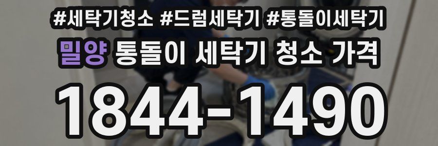 밀양 통돌이 세탁기 청소 가격